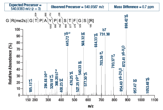 undefined Image 2: PTMScan<sup>®</sup> Control Peptides Symmetric Di-Methyl Arginine