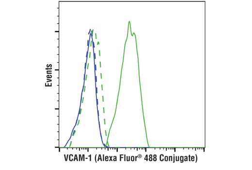 VCAM-1 (D8U5V) Rabbit Monoclonal Antibody (Alexa Fluor® 488