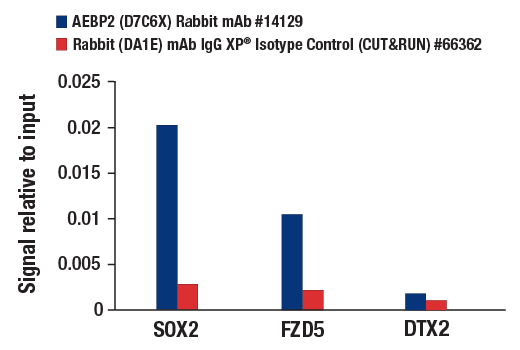 undefined Image 45: Polycomb Group 2 (PRC2) Antibody Sampler Kit