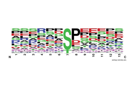 undefined Image 2: PTMScan<sup>®</sup> Phospho-Enrichment IMAC Fe-NTA Magnetic Beads