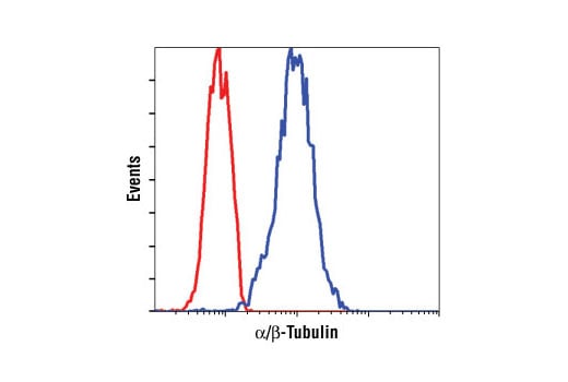 Flow Cytometry Image 1: alpha/beta-Tubulin Antibody