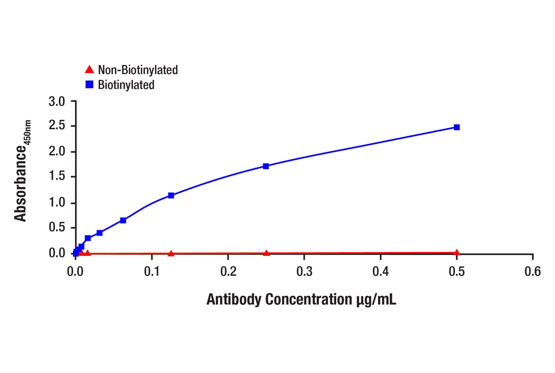 ELISA and/or ELISA-like Assays Image 1: SMAD2/3 (D7G7) Rabbit Monoclonal Antibody (Biotinylated)