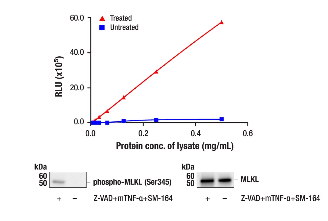 ELISA Image 1: PathScan<sup>®</sup> Phospho-MLKL (Ser345) Chemiluminescent Sandwich ELISA Kit