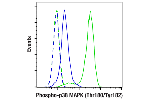 Flow Cytometry Image 1: Phospho-p38 MAPK (Thr180/Tyr182) (D3F9) Rabbit Monoclonal Antibody