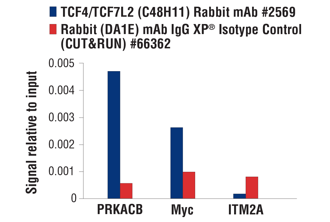 CUT & RUN Image 3: TCF4/TCF7L2 (C48H11) Rabbit Monoclonal Antibody