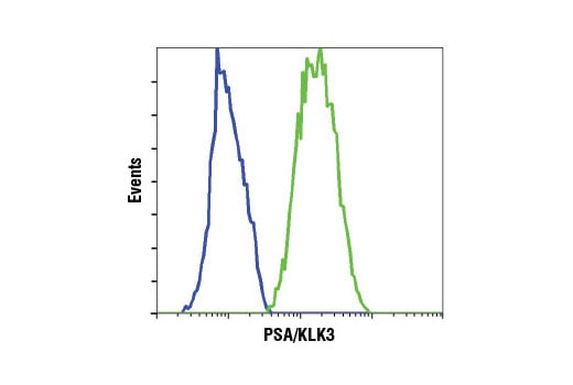 Flow Cytometry Image 1: PSA/KLK3 (D6B1) Rabbit Monoclonal Antibody (BSA and Azide Free)