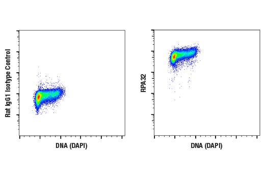 undefined Image 2: UV Induced DNA Damage Response Antibody Sampler Kit