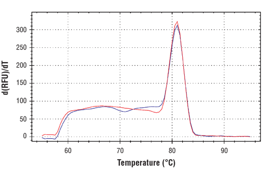 undefined Image 2: SimpleChIP<sup>®</sup> Human ERRFI1 Upstream Primers
