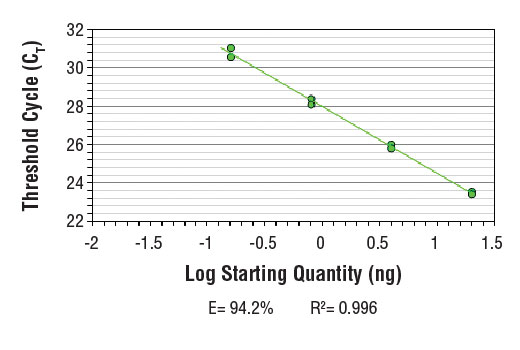Chromatin Immunoprecipitation Image 2: SimpleChIP<sup>®</sup> Human beta-Actin 3' UTR Primers