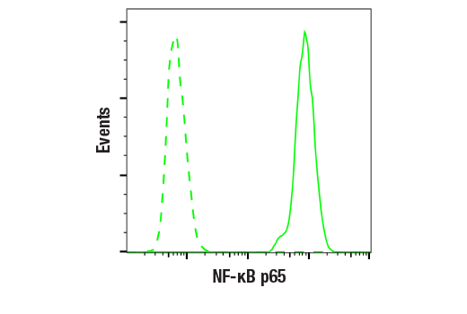 Flow Cytometry Image 1: NF-kappaB p65 (L8F6) Mouse Monoclonal Antibody (BSA and Azide Free)