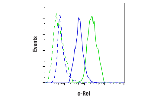 Flow Cytometry Image 1: c-Rel (E8Z5Y) Rabbit Monoclonal Antibody (BSA and Azide Free)