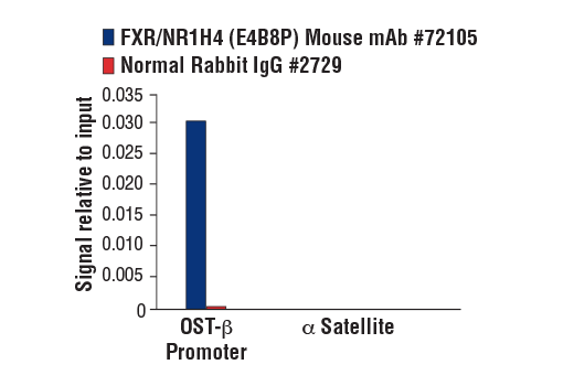 Chromatin Immunoprecipitation Image 1: FXR/NR1H4 (E4B8P) Mouse Monoclonal Antibody