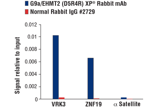 Chromatin Immunoprecipitation Image 1: G9a/EHMT2 (D5R4R) Rabbit Monoclonal Antibody