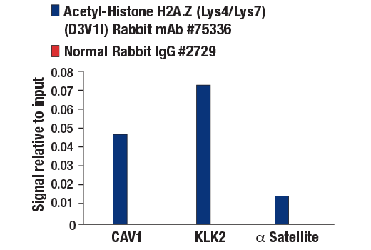 Chromatin Immunoprecipitation Image 3: Acetyl-Histone H2A.Z (Lys4/Lys7) (D3V1I) Rabbit Monoclonal Antibody