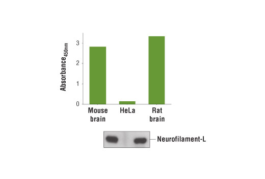 ELISA Image 1: PathScan® Neurofilament-L Sandwich ELISA Kit