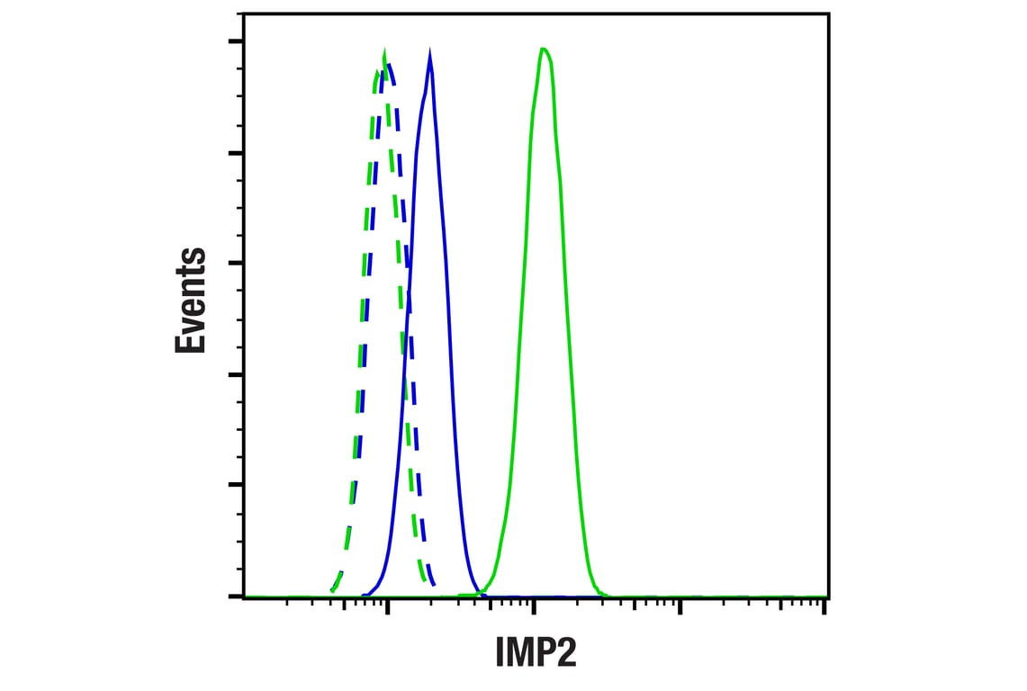 Flow Cytometry Image 1: IMP2 (D4R2F) Rabbit Monoclonal Antibody