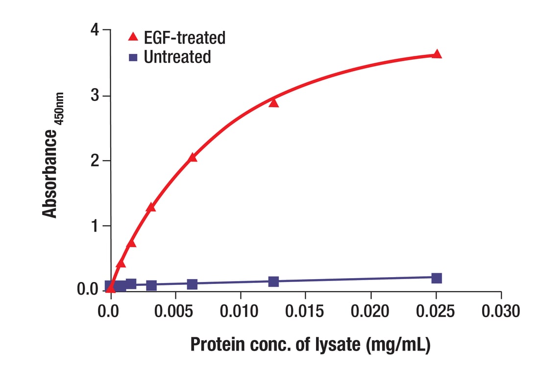 ELISA Image 1: Phospho-EGF Receptor (panTyr) Matched Antibody Pair