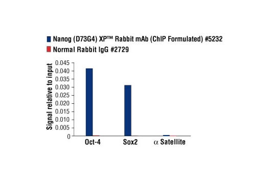 Chromatin Immunoprecipitation Image 4: Nanog (D73G4) Rabbit Monoclonal Antibody (ChIP Formulated)