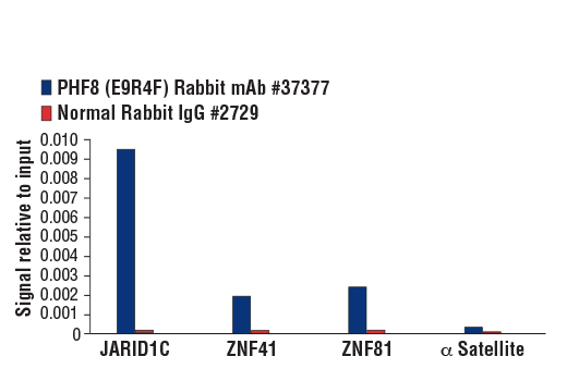 Chromatin Immunoprecipitation Image 1: PHF8 (E9R4F) Rabbit Monoclonal Antibody