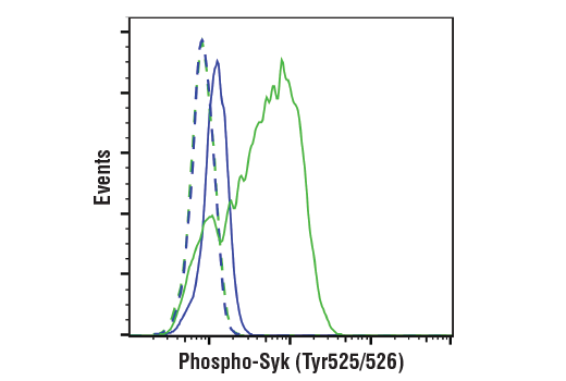 Flow Cytometry Image 1: Phospho-Syk (Tyr525/526) (C87C1) Rabbit Monoclonal Antibody
