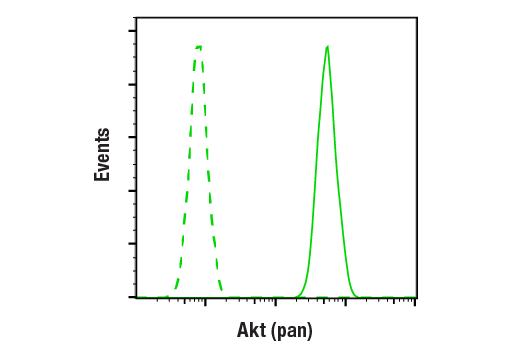 undefined Image 13: Akt Isoform Antibody Sampler Kit
