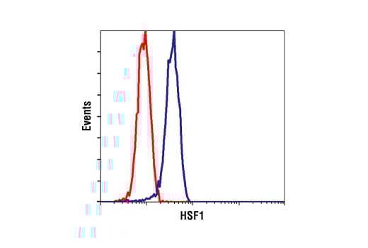 undefined Image 41: HSP/Chaperone Antibody Sampler Kit
