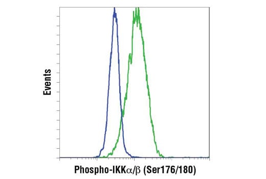 Flow Cytometry Image 1: Phospho-IKK alpha/beta (Ser176/180) (16A6) Rabbit Monoclonal Antibody (BSA and Azide Free)
