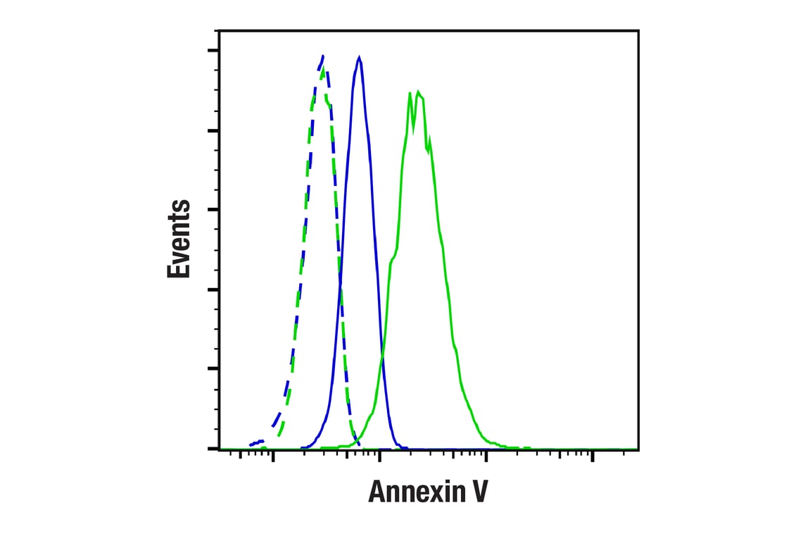 Flow Cytometry Image 2: Annexin V (E3W8V) Rabbit Monoclonal Antibody (BSA and Azide Free)