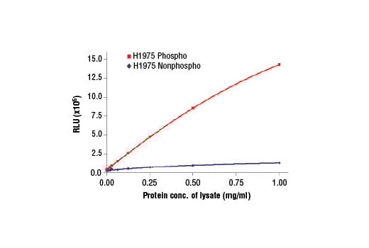 ELISA Image 2: PathScan<sup>®</sup> Phospho-EGF Receptor (Tyr1068) Chemiluminescent Sandwich ELISA Kit