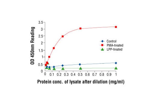 ELISA Image 2: PathScan<sup>®</sup> Phospho-MEK1 (Ser217/221) Sandwich ELISA Kit