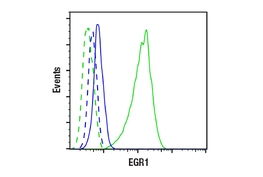Flow Cytometry Image 1: EGR1 (44D5) Rabbit Monoclonal Antibody