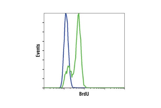 Flow Cytometry Image 3: BrdU (Bu20a) Mouse Monoclonal Antibody