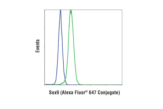 Flow Cytometry Image 1: Sox9 (D8G8H) Rabbit mAb (Alexa Fluor<sup>®</sup> 647 Conjugate)