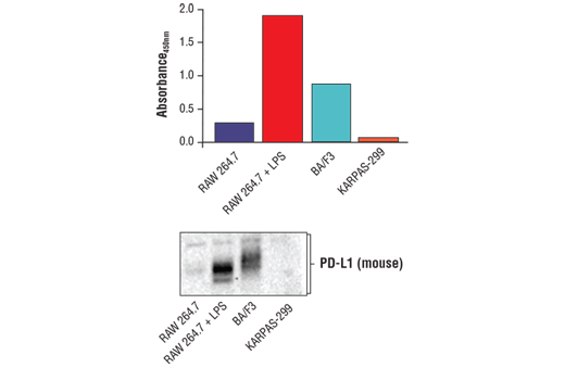 ELISA Image 2: FastScan<sup>™</sup> Total PD-L1 ELISA Kit