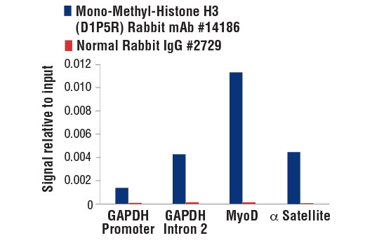 Chromatin Immunoprecipitation Image 1: Mono-Methyl-Histone H3 (Lys9) (D1P5R) Rabbit Monoclonal Antibody