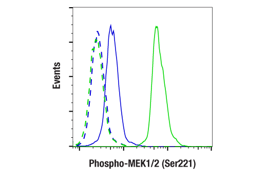 Flow Cytometry Image 1: Phospho-MEK1/2 (Ser221) (166F8) Rabbit Monoclonal Antibody