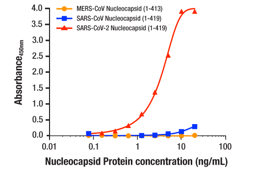 ELISA Image 2: PathScan<sup>®</sup> RP SARS-CoV-2 Nucleocapsid Protein Sandwich ELISA Kit