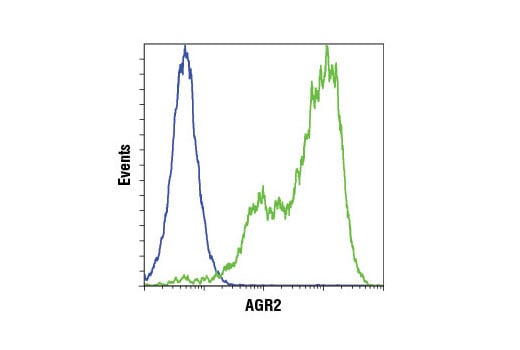 Flow Cytometry Image 1: AGR2 (D9V2F) Rabbit Monoclonal Antibody