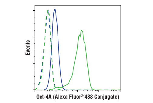 Flow Cytometry Image 1: Oct-4A (C30A3) Rabbit Monoclonal Antibody (Alexa Fluor<sup>®</sup> 488 Conjugate)