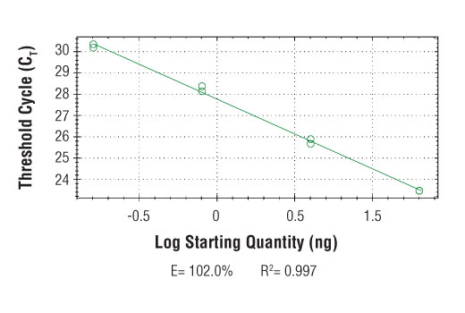 Chromatin Immunoprecipitation Image 2: SimpleChIP<sup>®</sup> Human C/EBP delta Promoter Primers