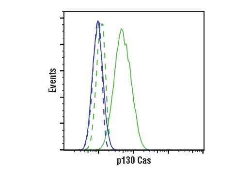 Flow Cytometry Image 1: p130 Cas (E1L9H) Rabbit Monoclonal Antibody (BSA and Azide Free)
