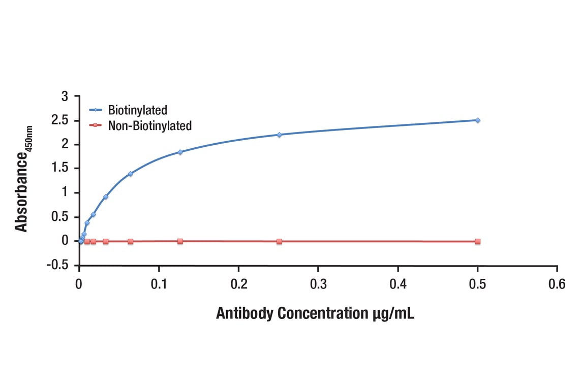 ELISA and/or ELISA-like Assays Image 1: 4E-BP1 (53H11) Rabbit Monoclonal Antibody (Biotinylated)