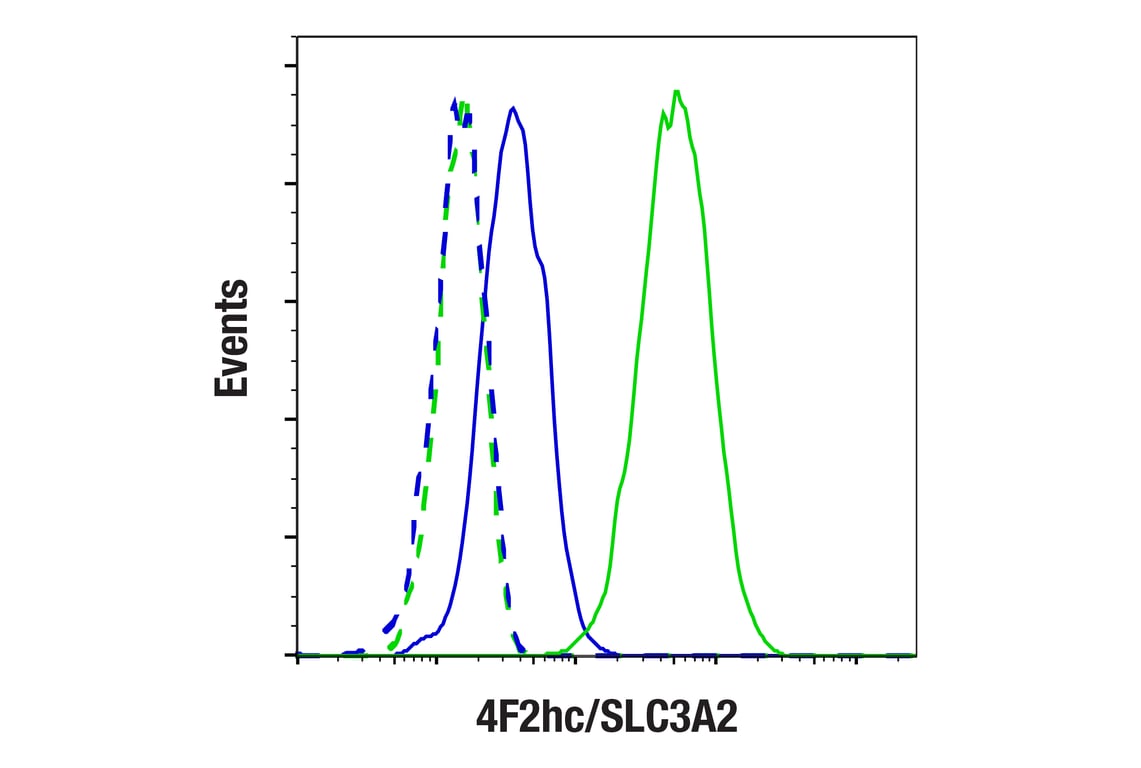 Flow Cytometry Image 1: 4F2hc/SLC3A2 (D3F9D) Rabbit Monoclonal Antibody (BSA and Azide Free)