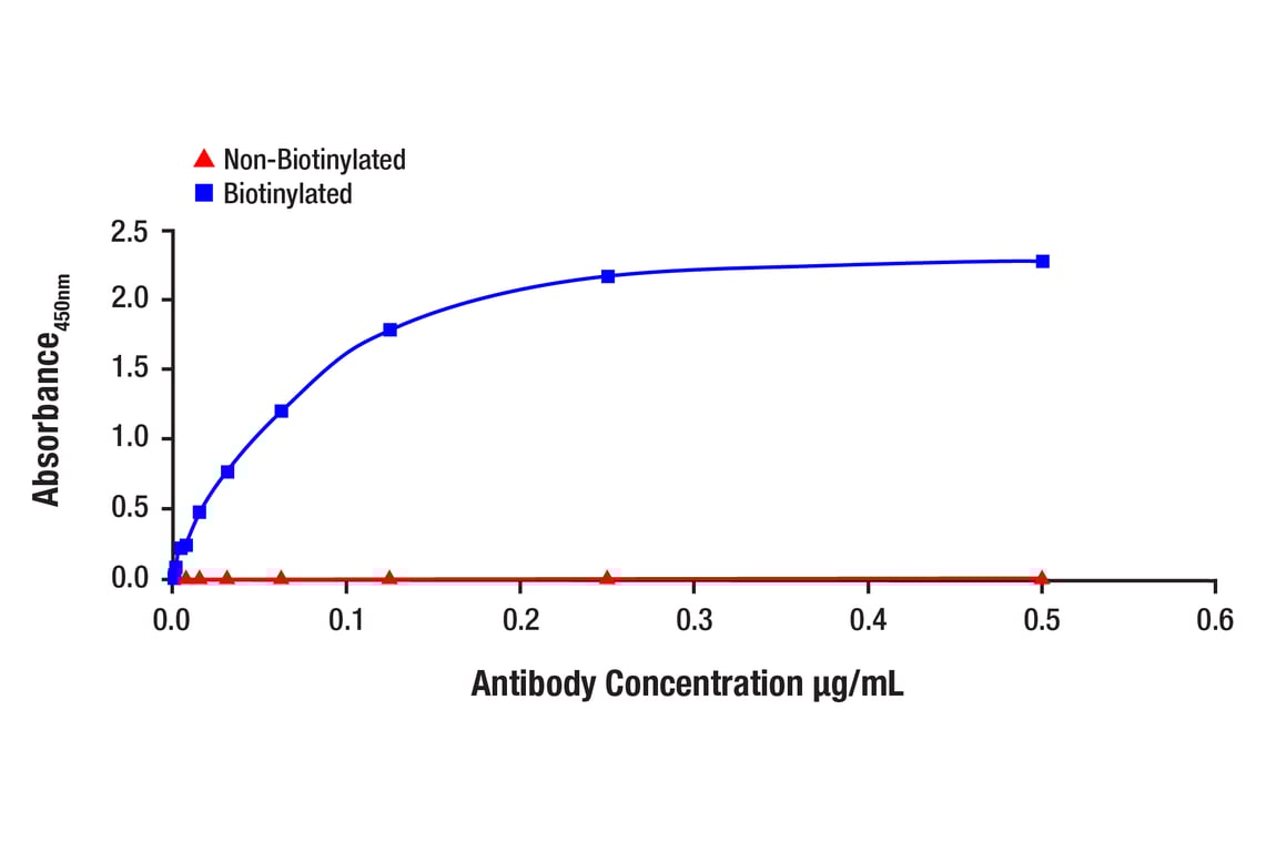 E Image 1: Met (D1C2) Rabbit Monoclonal Antibody (Biotinylated)