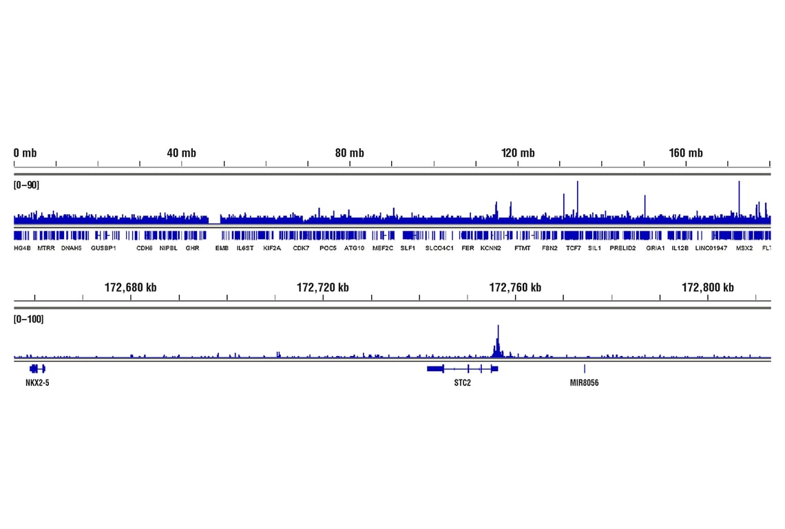 undefined Image 64: Microglia Neurodegeneration Module Antibody Sampler Kit