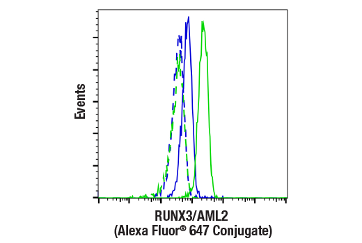 Flow Cytometry Image 1: RUNX3/AML2 (D6E2) Rabbit mAb (Alexa Fluor<sup>®</sup> 647 Conjugate)