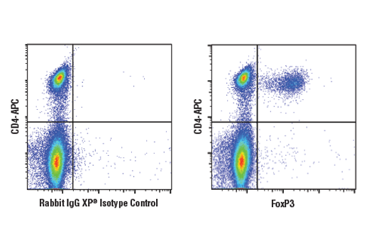 Flow Cytometry Image 1: FoxP3 (D6O8R) Rabbit Monoclonal Antibody