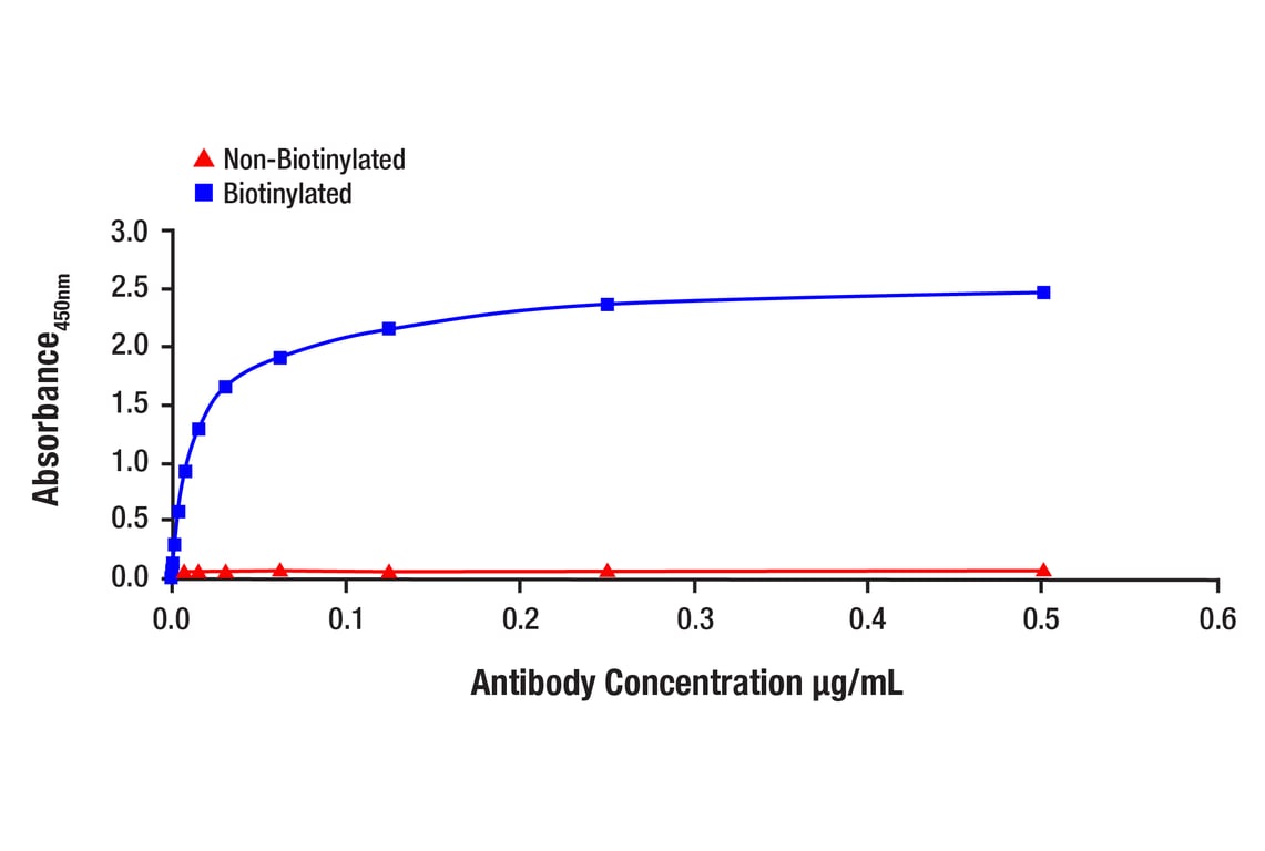 ELISA and/or ELISA-like Assays Image 1: SMAD3 (C67H9) Rabbit Monoclonal Antibody (Biotinylated)