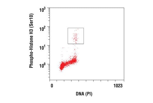 Flow Cytometry Image 1: Phospho-Histone H3 (Ser10) (D2C8) Rabbit Monoclonal Antibody