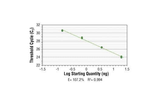 Chromatin Immunoprecipitation Image 2: SimpleChIP<sup>®</sup> Human CDKN1A Intron 1 Primers